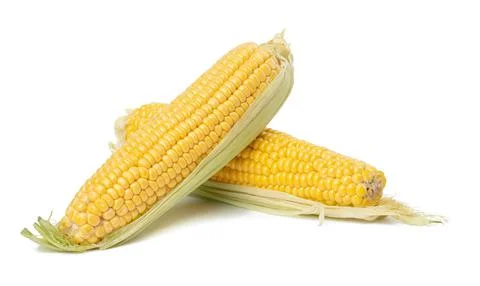 Stack of corn cobs with yellow grains isolated on white background 스톡 사진