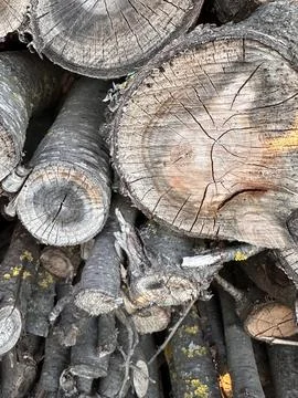 Stack of Cracked Firewood with Moss Stock-Fotos