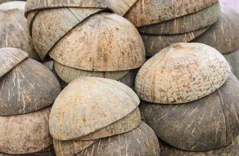 Stack of cut coconut shell Stock Photos