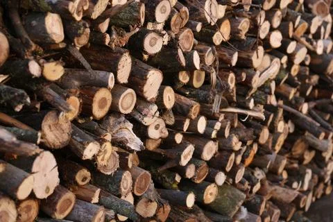 Stack of cut firewood as background, closeup view 写真素材