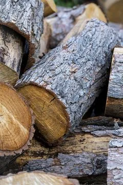 Stack of Cut Firewood Logs with Natural Bark and Wood Texture Фото