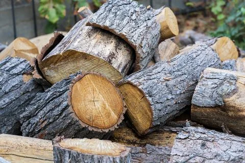 Stack of Cut Firewood Logs with Natural Bark and Wood Texture 写真素材
