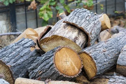 Stack of Cut Firewood Logs with Natural Bark and Wood Texture Stock Photos