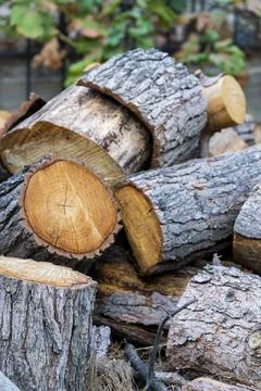 Stack of Cut Firewood Logs with Natural Bark and Wood Texture 写真素材