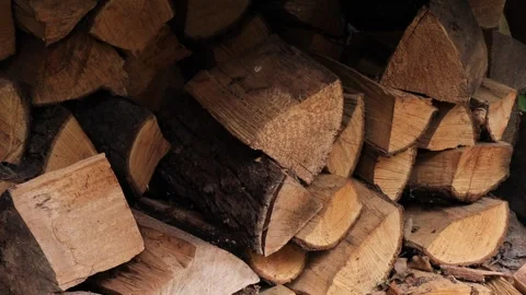 Stack of cut firewood logs neatly piled on ground dry chopped wood for fireplace Stock Footage 311566953