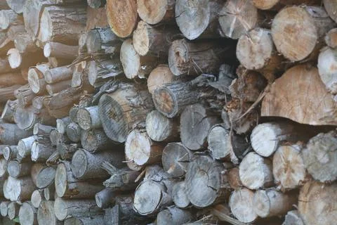 Stack of cut firewood logs in rustic countryside Foto stock