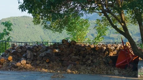A stack of cut firewood is neatly piled under the shade of a leafy tree, with a Stock Footage 346606977