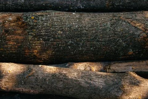A stack of cut logs in the background. Logging industry. Wooden logs Stock Photos