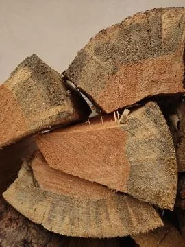 Stack of cut logs with detailed wood grain and texture mobile photo, vertical Stock Photos