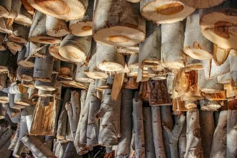 A stack of cut logs fills the frame, showcasing circular wood grain pattern.. Stock Photos