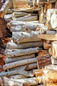 A stack of cut logs fills the frame, showcasing circular wood grain pattern.. Stockfoto's