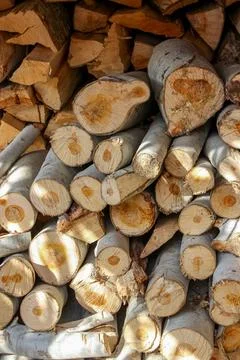 A stack of cut logs fills the frame, showcasing circular wood grain pattern.. Stockfoto's