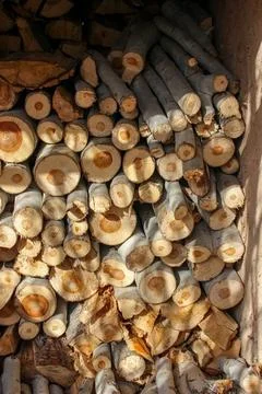 A stack of cut logs fills the frame, showcasing circular wood grain pattern.. Stock Photos