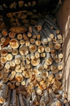 A stack of cut logs fills the frame, showcasing circular wood grain pattern.. Stockfoto's