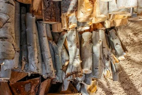 A stack of cut logs fills the frame, showcasing circular wood grain pattern.. Foto stock