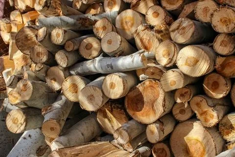 A stack of cut logs fills the frame, showcasing circular wood grain pattern.. Stock Photos