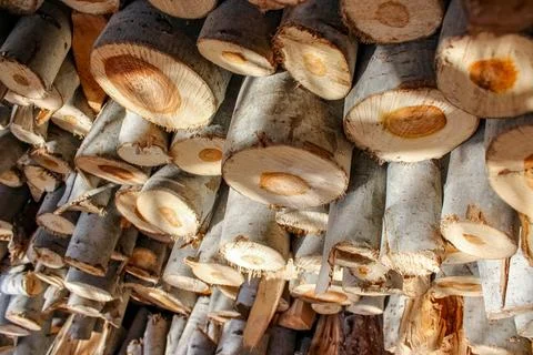 A stack of cut logs fills the frame, showcasing circular wood grain pattern.. Stock Photos