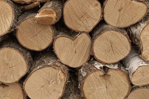 Stack of cut logs with heart shaped wood cross section Stock Photos