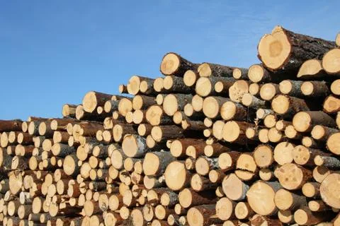 Stack of Cut Timber Logs against Clear Blue Sky. Stock Photos