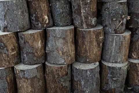 Stack of cut tree logs with rough bark and wood texture 스톡 사진