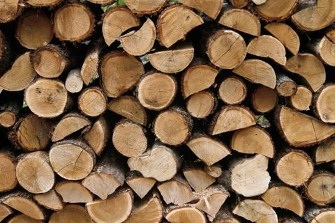 Stack of Cutted Logs Stock-Fotos