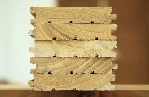 Stack of cutted solid wood Stock Photos