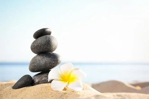 Stack of dark stones and beautiful flower on sandy beach near sea, space for  Foto stock