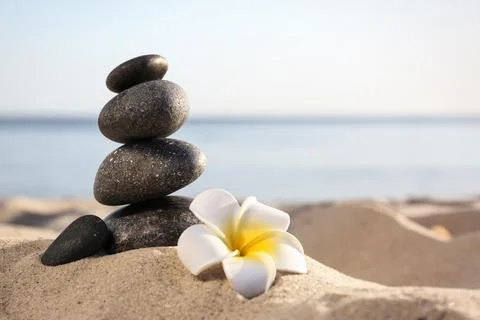 Stack of dark stones and beautiful flower on sandy beach near sea, space for  Stockfoto's