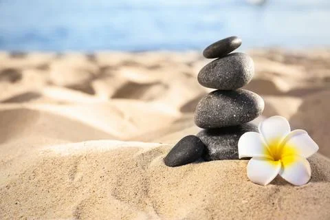 Stack of dark stones and beautiful flower on sandy beach near sea, space for  Foto stock