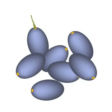 A Stack of Delicious Fresh Black Olive Stock Illustration