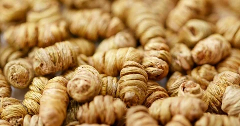 Stack of Dendrobium nobile Stock Footage 93287149