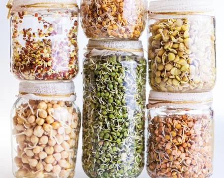 Stack of different sprouting seeds growing in a glass jar Stock Photos