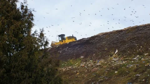 Stack of different types of large garbage dump, plastic bags, and landfill 動画素材 170011504