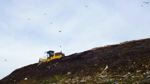 Stack of different types of large garbage dump, plastic bags, and landfill 動画素材 170011572