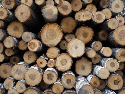 A stack of different wooden logs lying on top of each other. Wooden backgroun Stock Photos