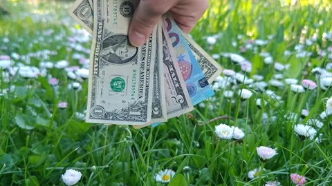 A stack of dollars and euros in a hand falls down against the backdrop of a flow Stock Footage 334957360
