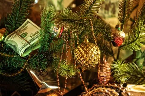 Stack of dollars under the Christmas fir Stock Photos