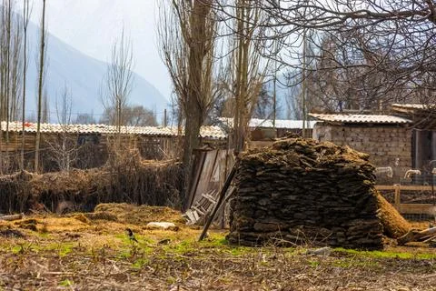 Stack of dried dung bricks arranged outdoors in a rectangular pile, traditi.. Stock Photos