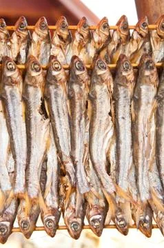 Stack of dried fish Stock Photos