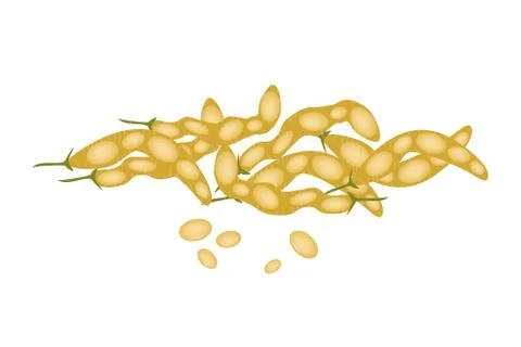 A Stack of Dried Soybeans on White Background Stock Illustration