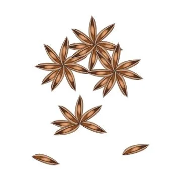 Stack of Dried Star Anise on White Background Stock Illustration