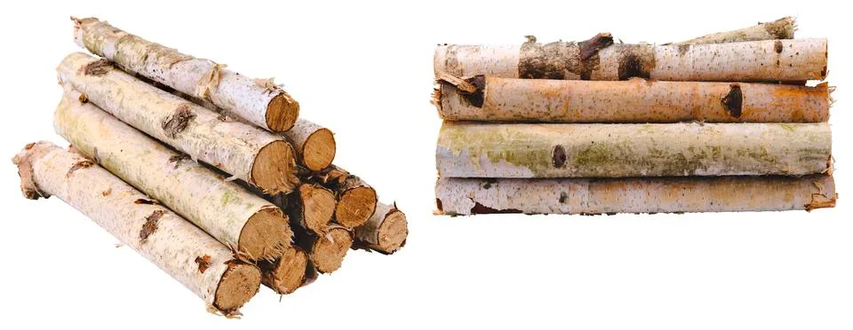 Stack of dry birch branches isolated on white. Foto stock