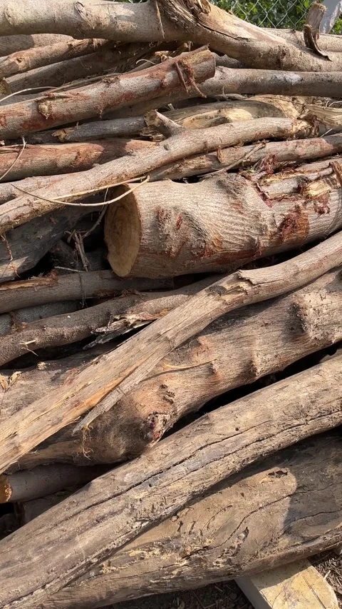 Stack of dry chopped tree branches and wooden logs stored outdoor 動画素材 327858234