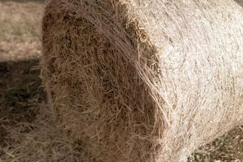Stack of dry hay as an abstract background 스톡 사진
