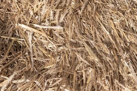 Stack of dry hay as an abstract background 스톡 사진