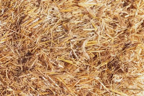 Stack of dry hay as an abstract background Foto stock
