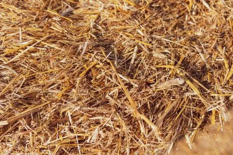 Stack of dry hay as an abstract background 스톡 사진