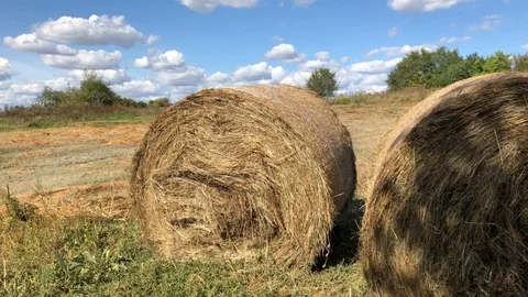 Stack of dry hay in the village Stock Footage 116468074