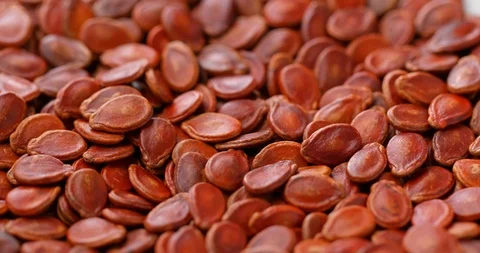 Stack of dry red melon seed Stock Footage 106309634