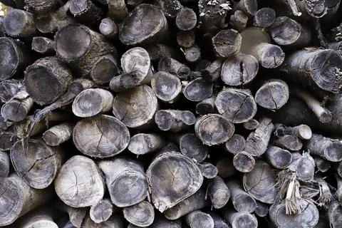 Stack of dry weathered wood logs ready for use as firewood Stock Photos